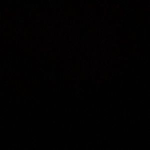 Meet your Posher, Audrey